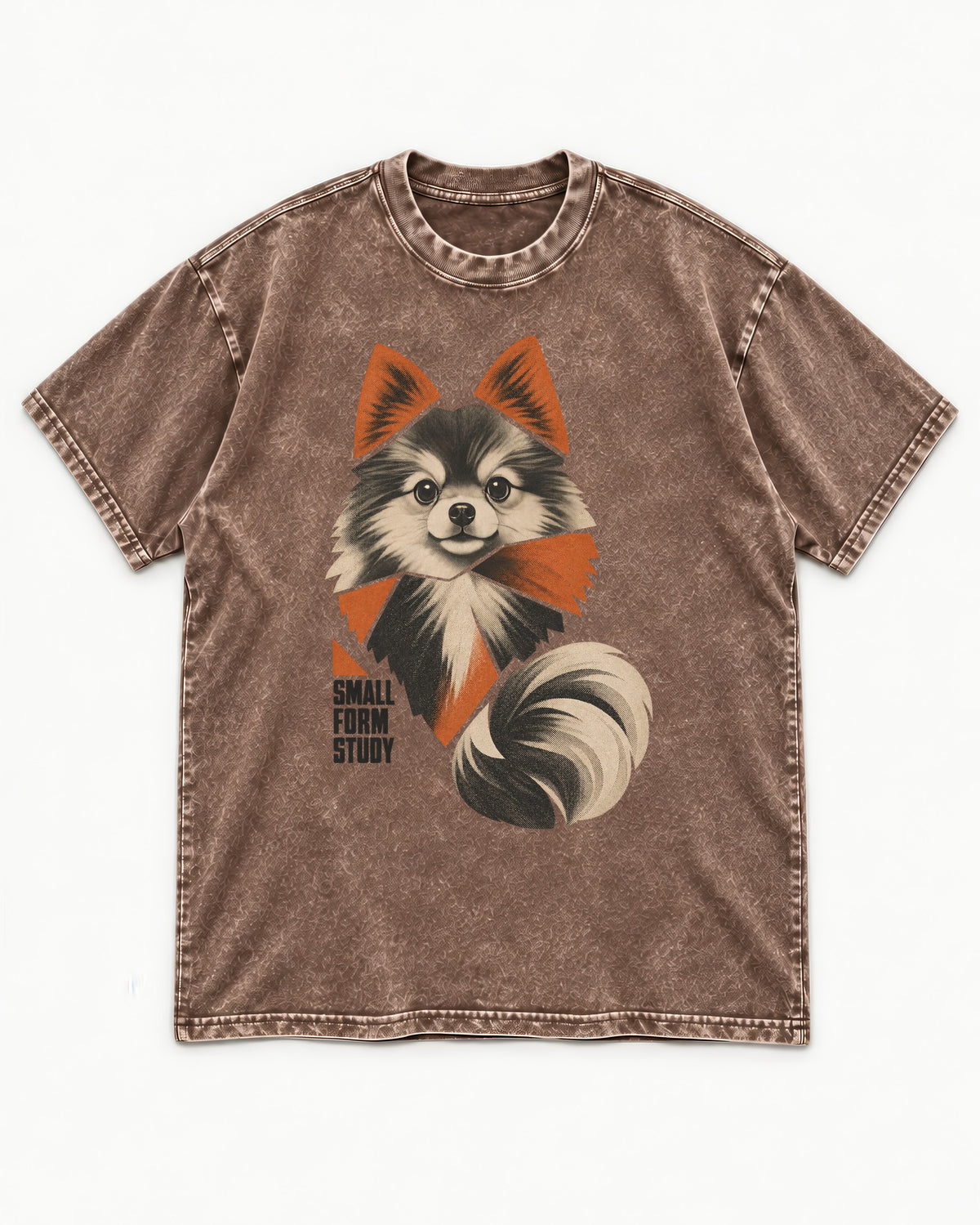 Pomeranian Small Form Study Washed Tee in Coffee, flat lay product photo