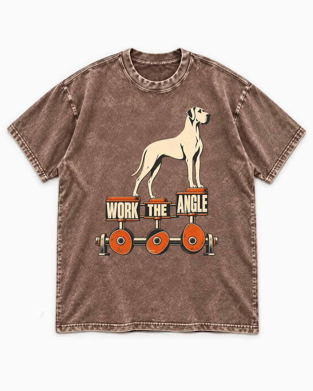 Great Dane Work the Angle Washed Tee in Coffee, flat lay product photo