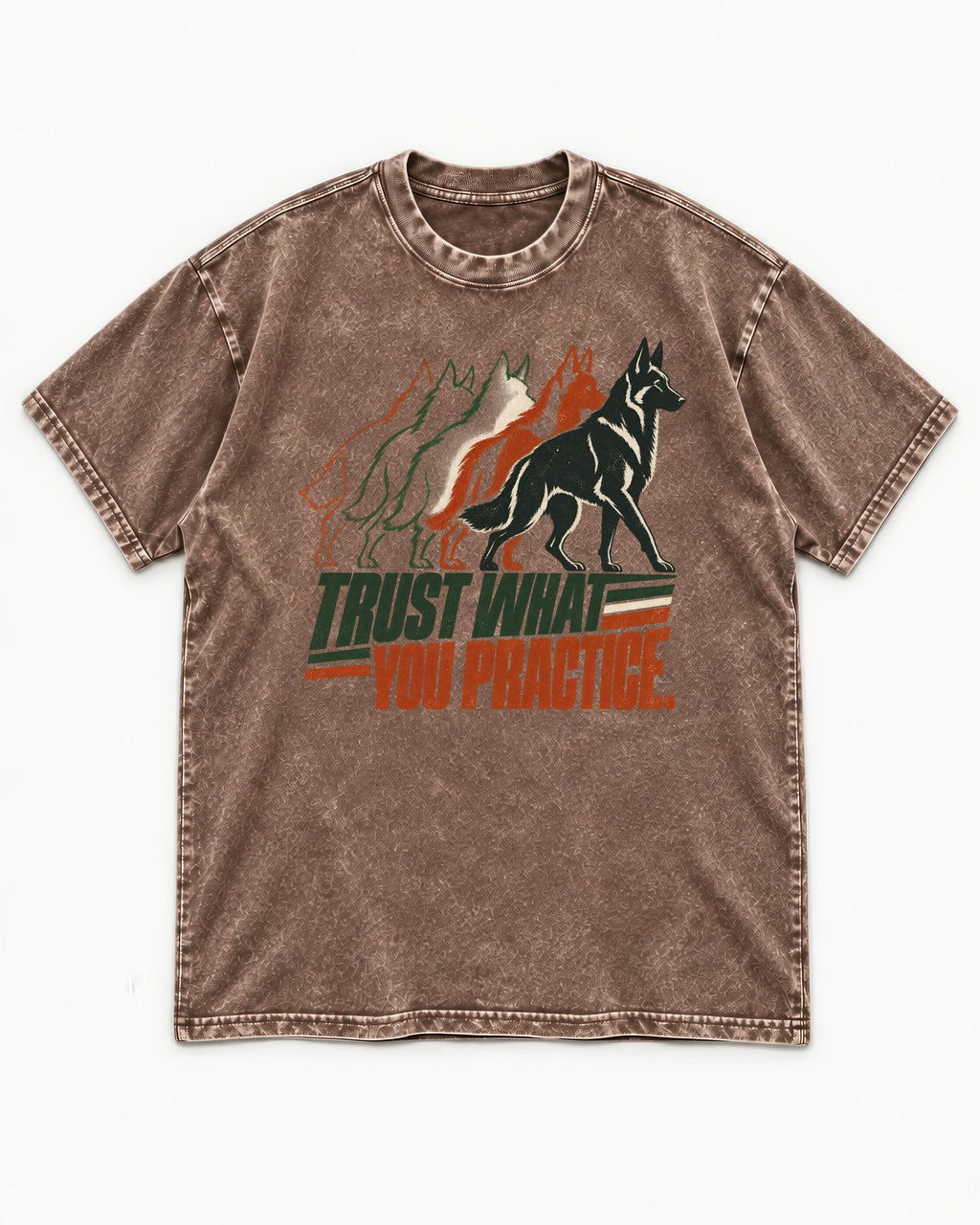 Trust What You Practice German Shepherd Dog Washed Tee in Coffee, flat lay product photo
