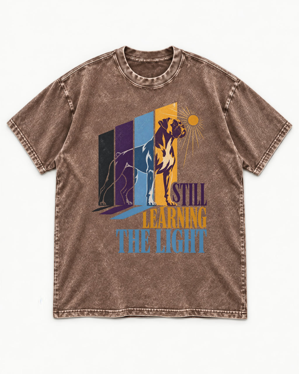 Still Learning the Light Boxer Doorway Progression Graphic Washed Tee in Coffee, flat lay product photo