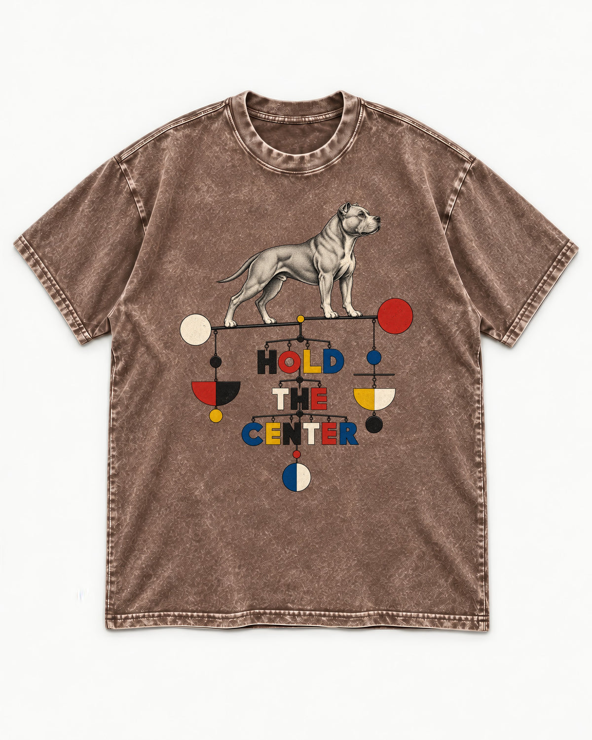 Pitbull Hold the Center Balance Mobile Graphic Washed Tee in Coffee, flat lay product photo