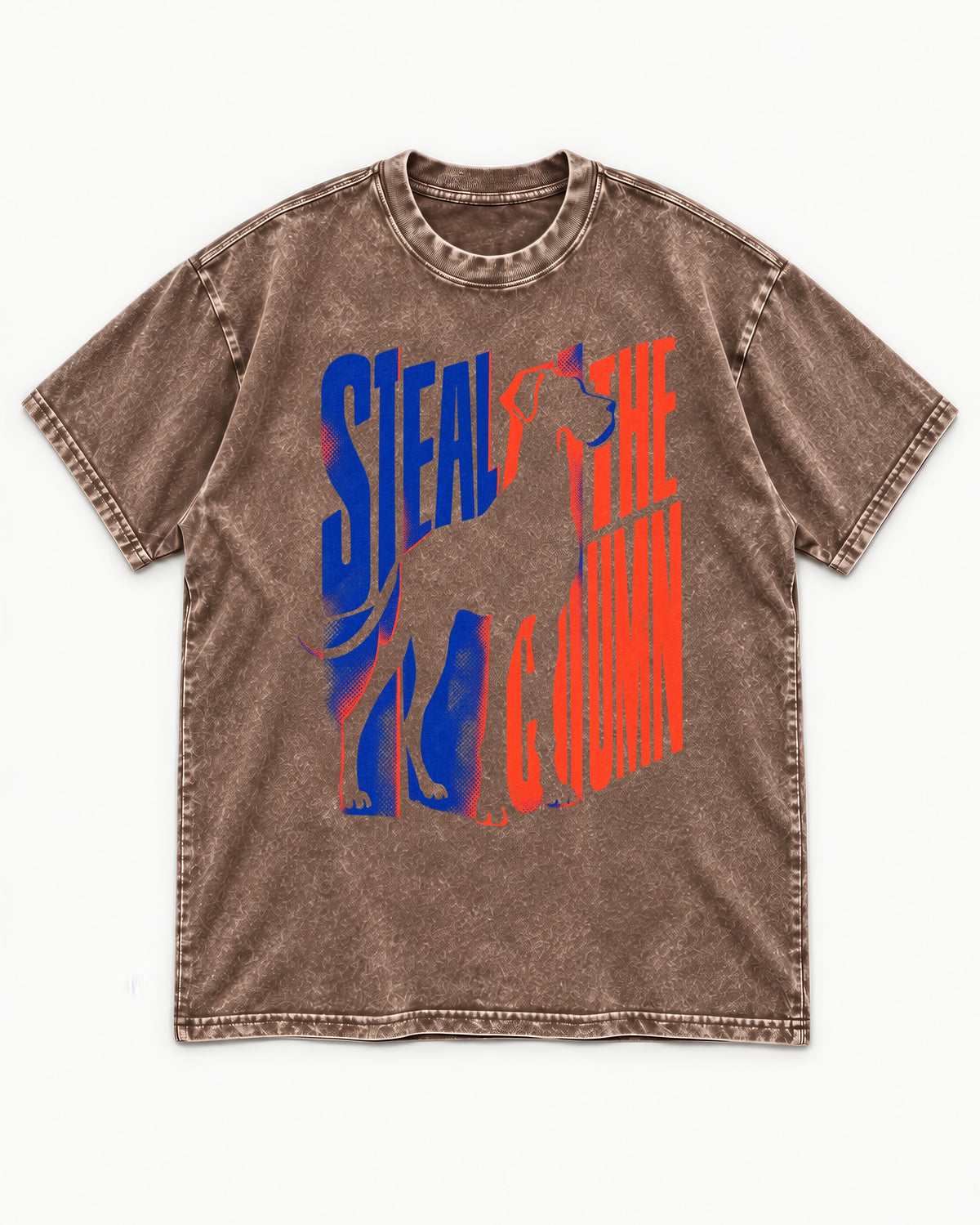Steal the Show Great Dane Washed Tee in Coffee, flat lay product photo
