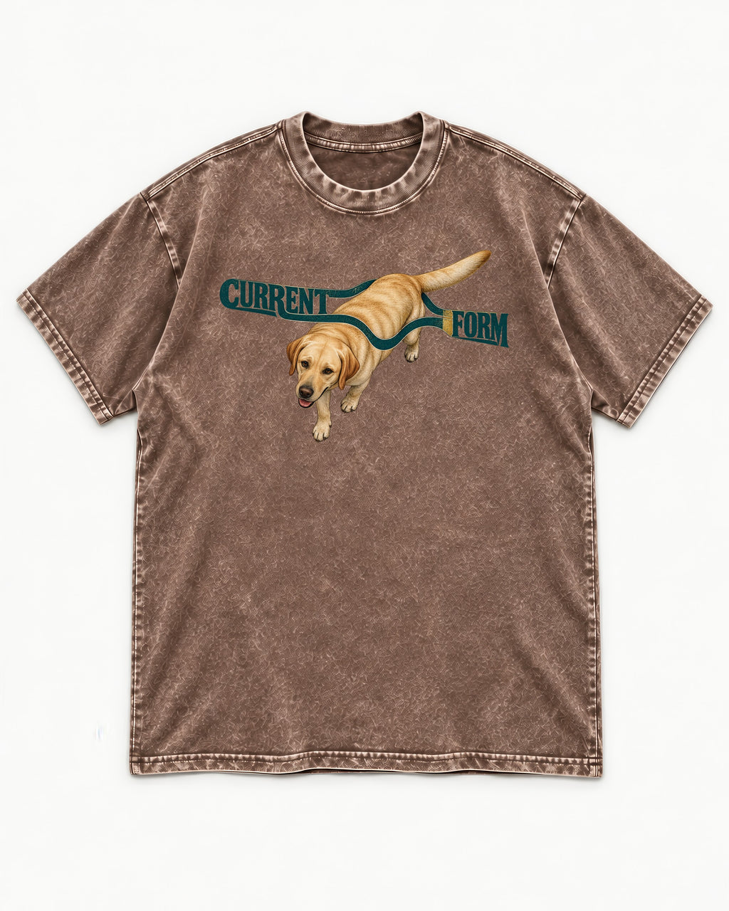 Labrador Retriever Current Form Washed Tee in Coffee, flat lay product photo