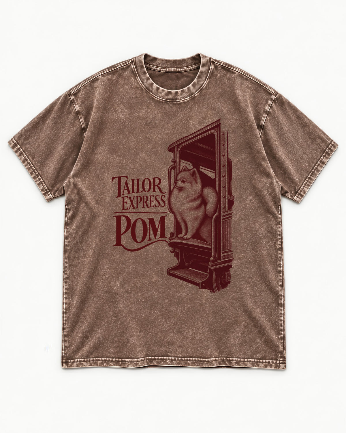 Pomeranian Express Washed Tee in Coffee, flat lay product photo