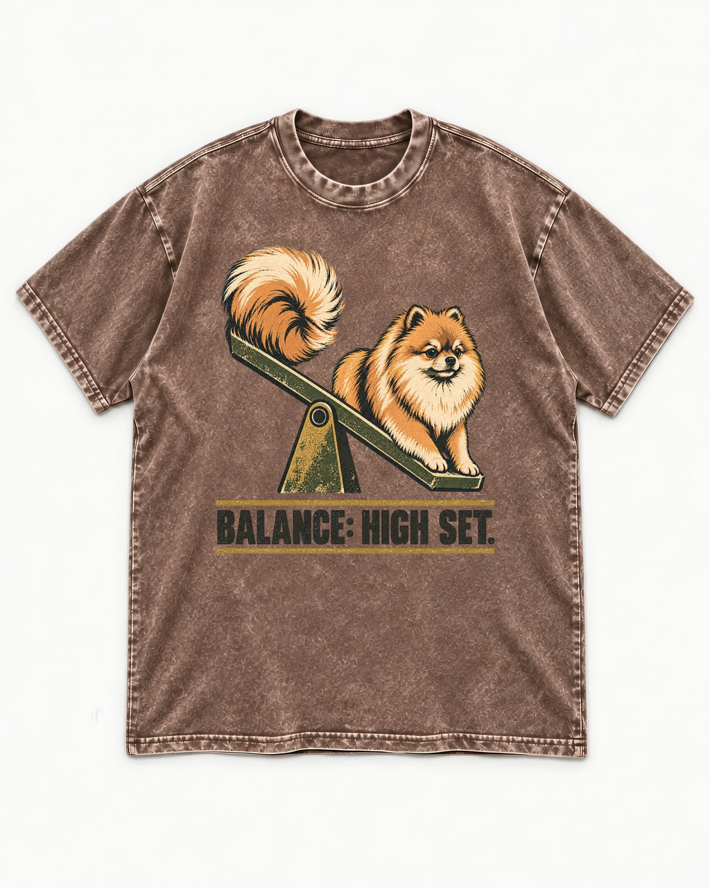 Pomeranian Balance High Set Washed Tee in Coffee, flat lay product photo