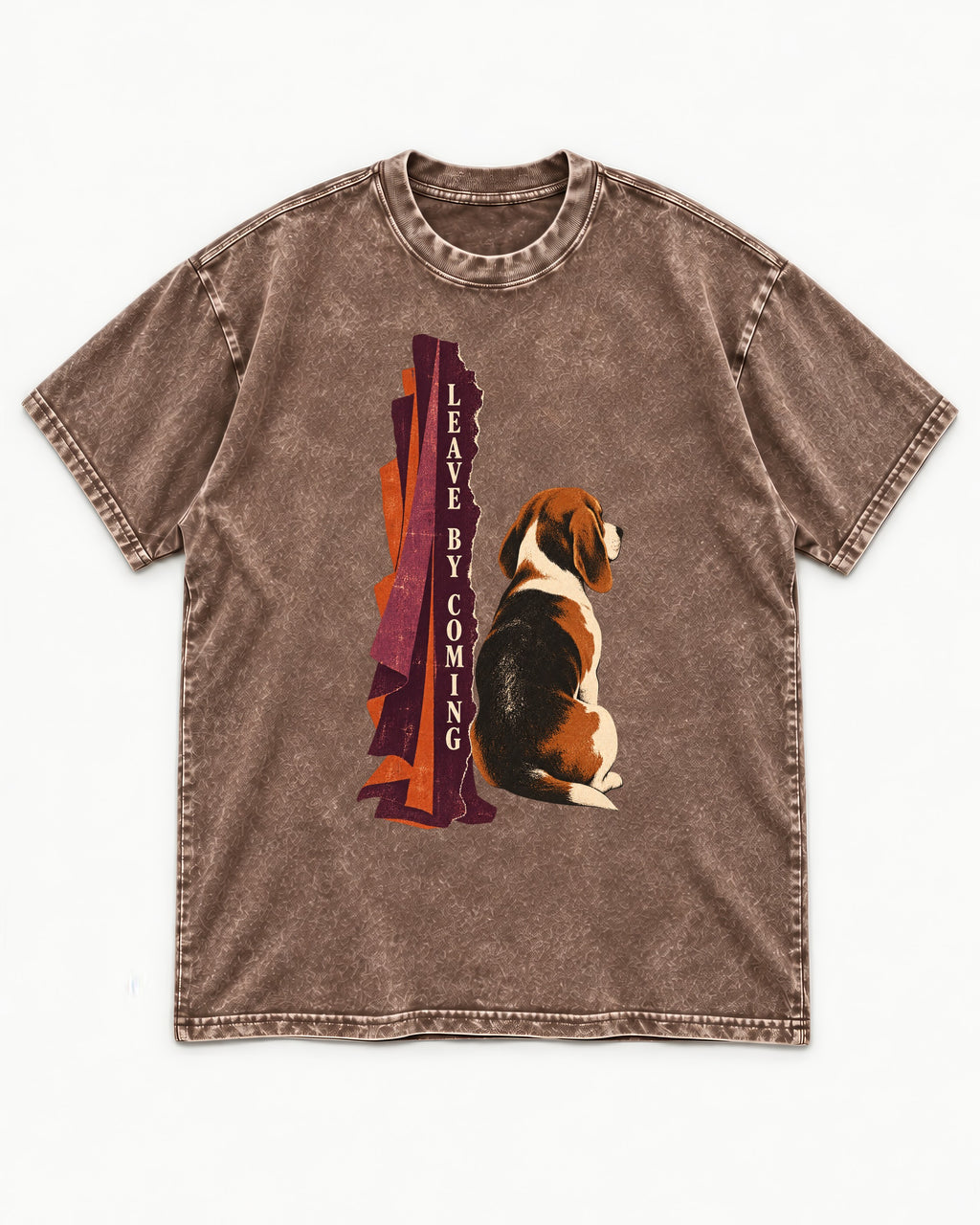 Leave By Coming Beagle Companion Washed Tee in Coffee, flat lay product photo