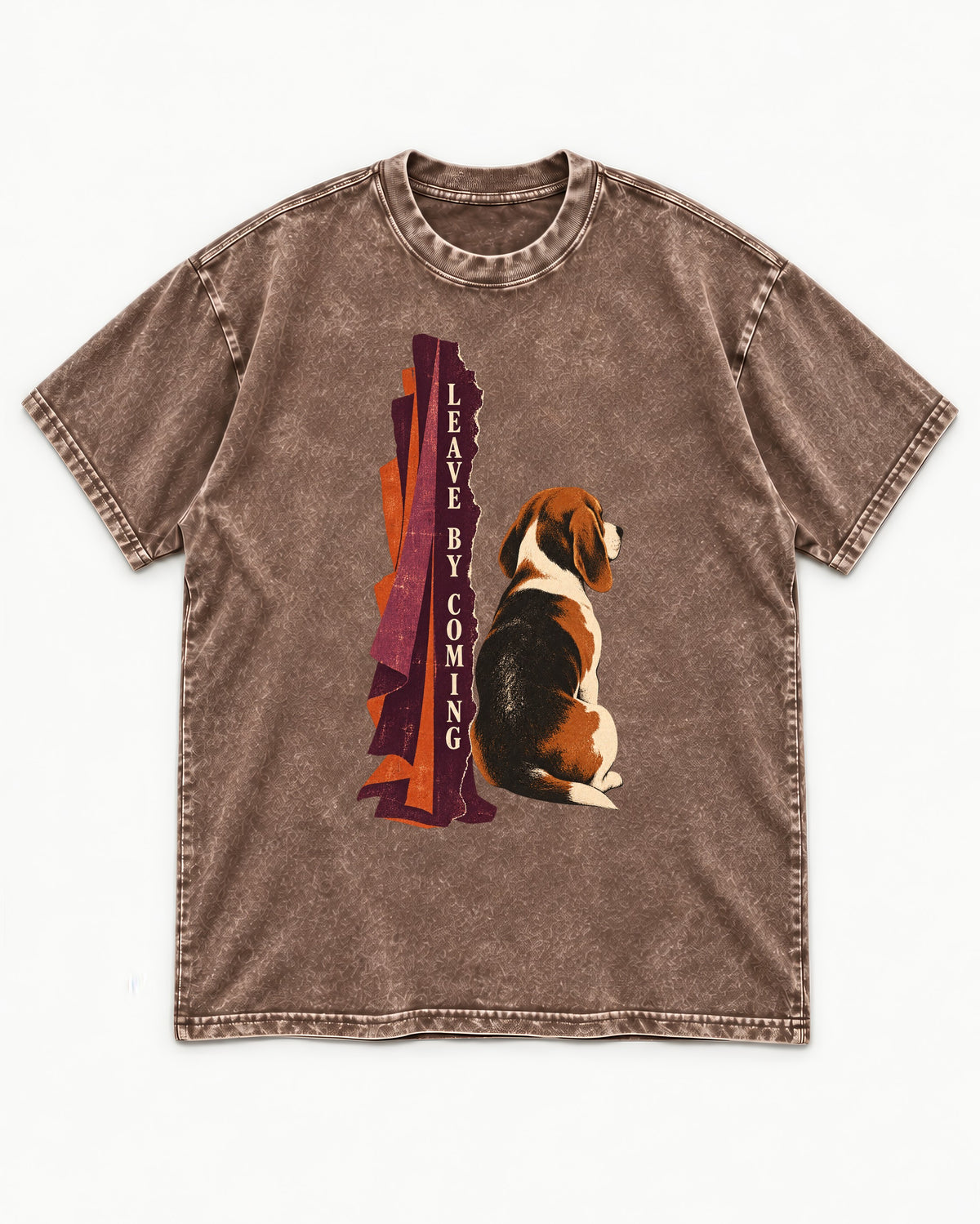 Leave By Coming Beagle Companion Washed Tee in Coffee, flat lay product photo