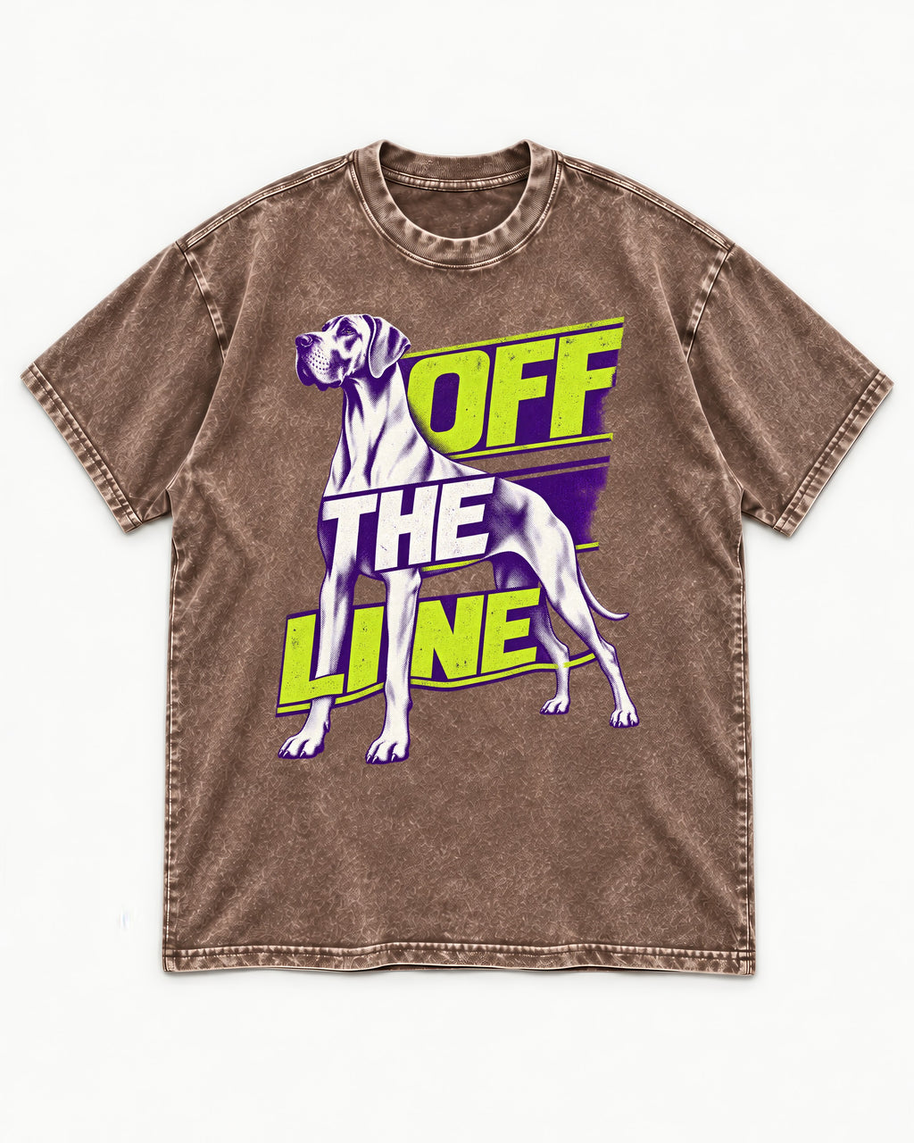 Great Dane Off the Line Washed Tee in Coffee, flat lay product photo