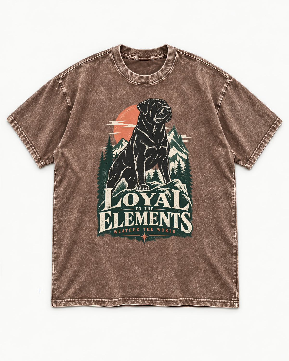 Rottweiler Loyal to the Elements Washed Tee in Coffee, flat lay product photo