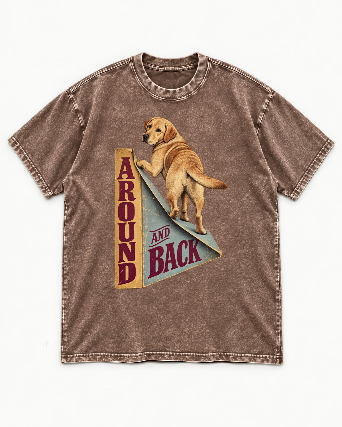 Labrador Retriever Around and Back Washed Tee in Coffee, flat lay product photo