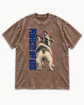 Perfectly Off Axis Frenchie Washed Tee in Coffee, flat lay product photo