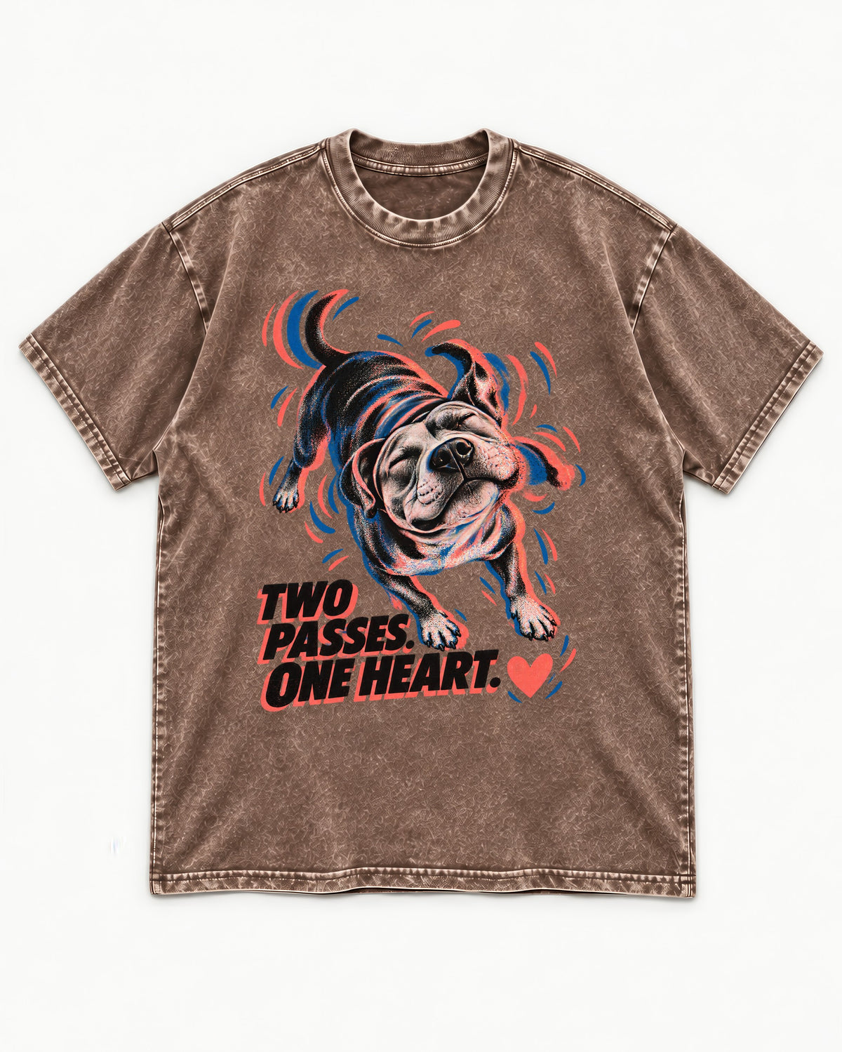 Two Passes One Heart Pitbull Washed Tee in Coffee, flat lay product photo