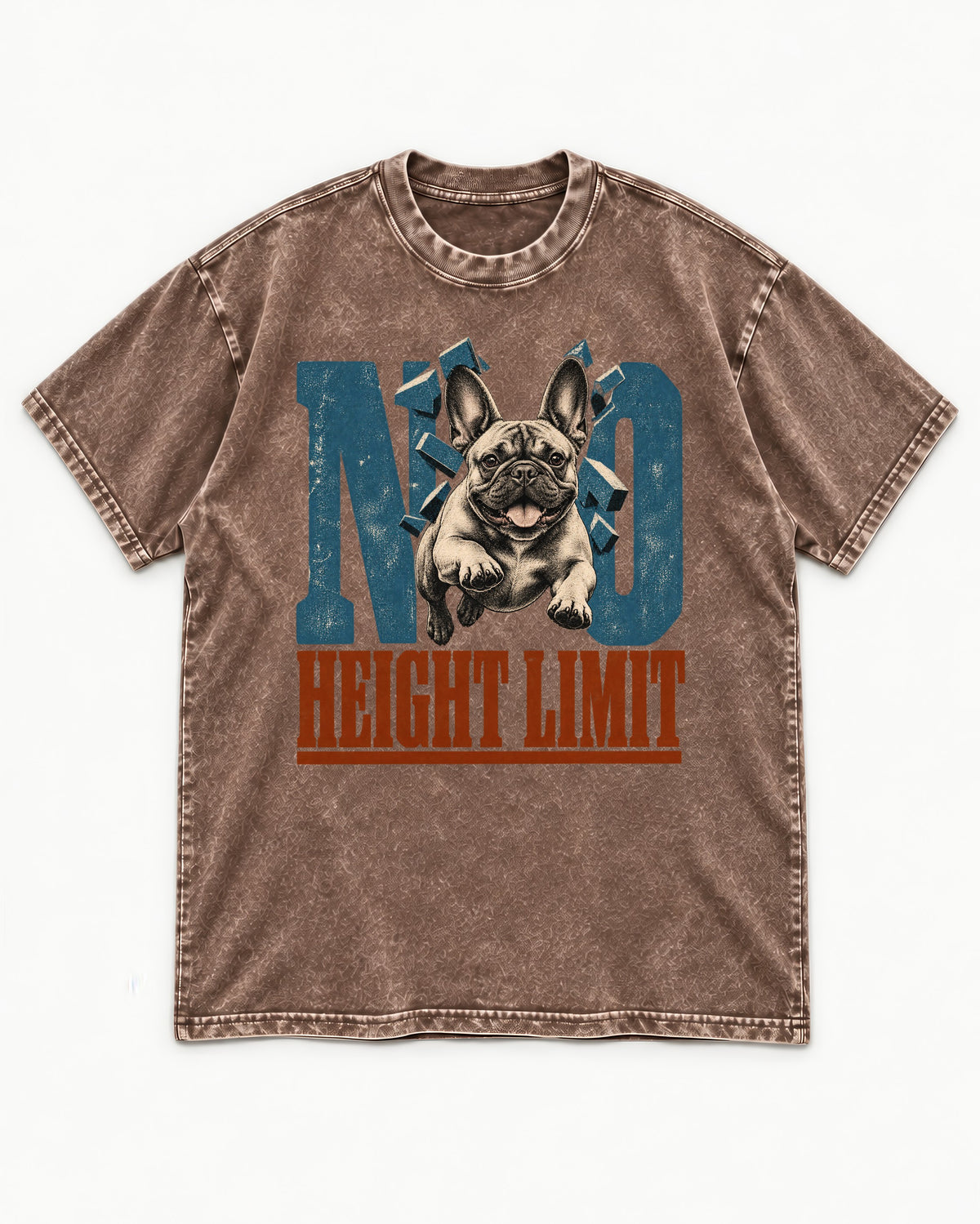 No Height Limit Frenchie Washed Tee in Coffee, flat lay product photo