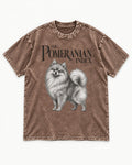 The Pomeranian Index Washed Tee in Coffee, flat lay product photo