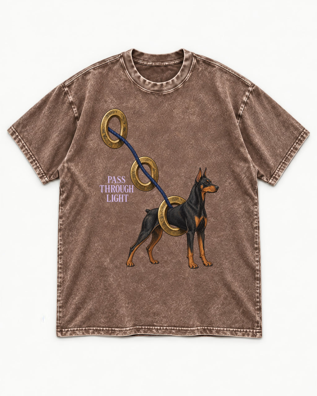Doberman Pass Through Light Ring Graphic Washed Tee in Coffee, flat lay product photo