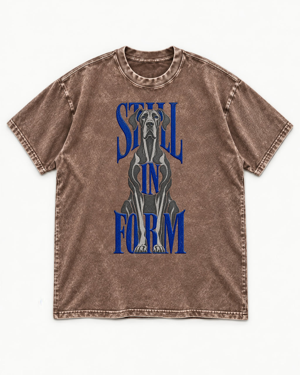 Still in Form Great Dane Washed Tee in Coffee, flat lay product photo