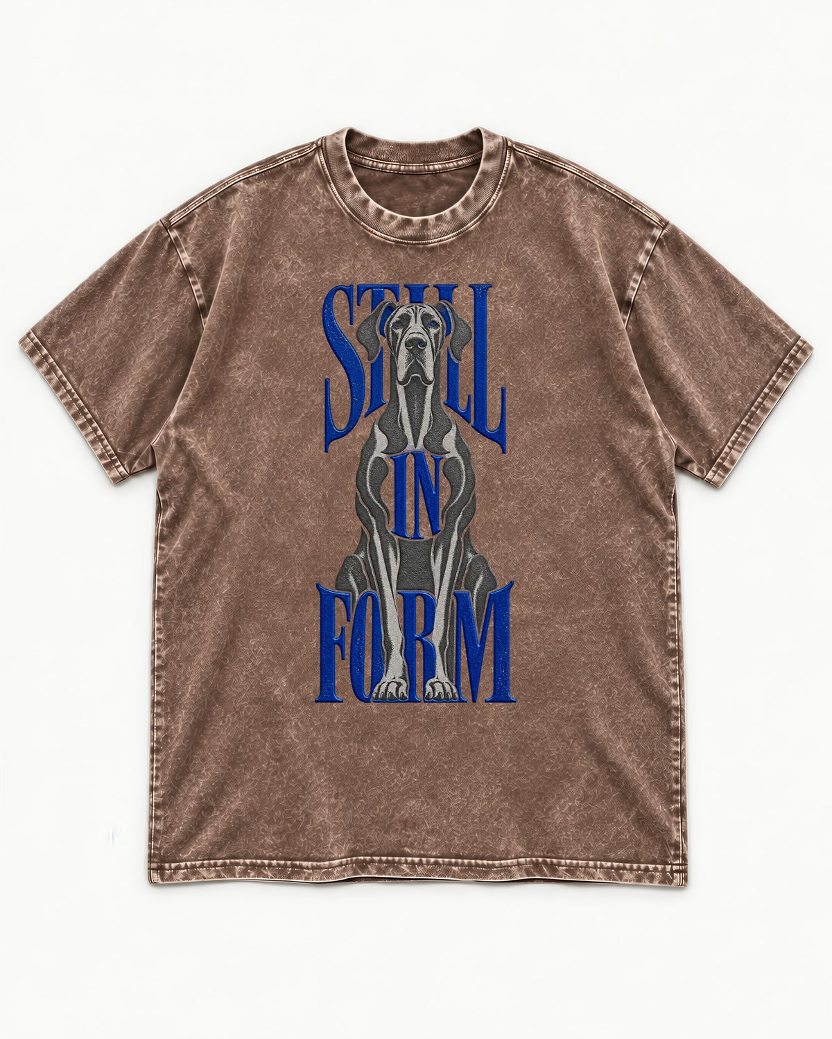 Still in Form Great Dane Washed Tee in Coffee, flat lay product photo