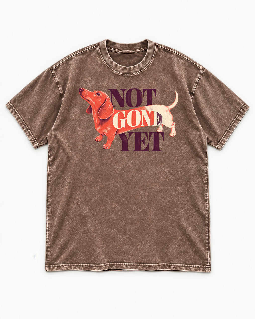 Dachshund Not Gone Yet Washed Tee in Coffee, flat lay product photo
