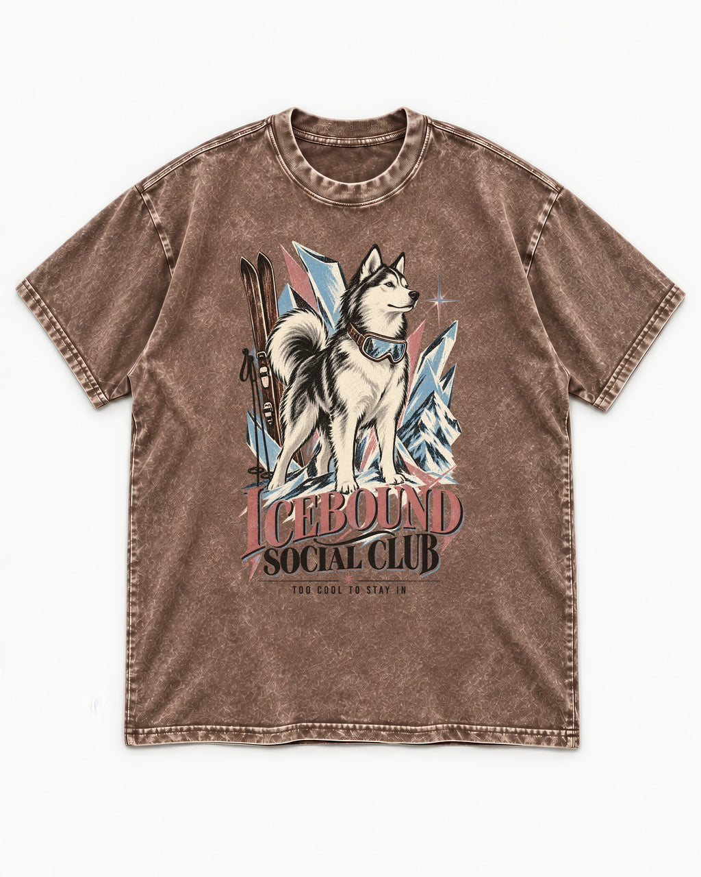 Icebound Husky Washed Tee in Coffee, flat lay product photo