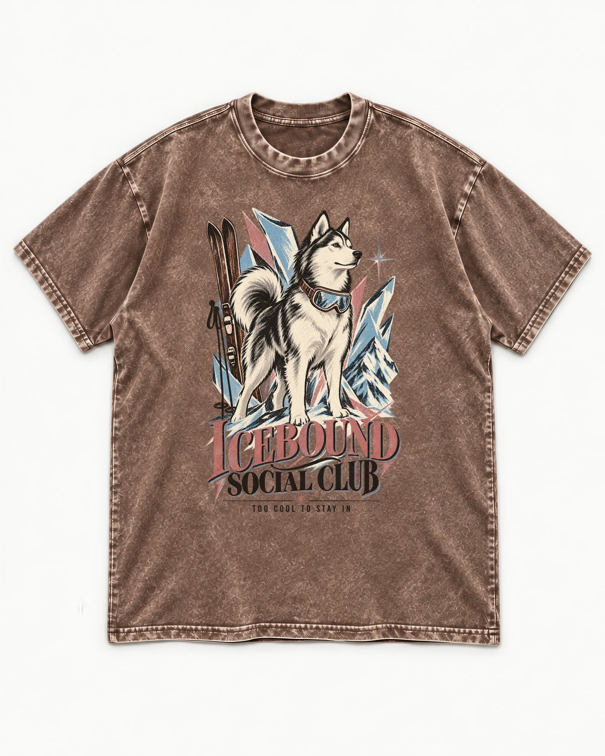 Icebound Husky Washed Tee in Coffee, flat lay product photo