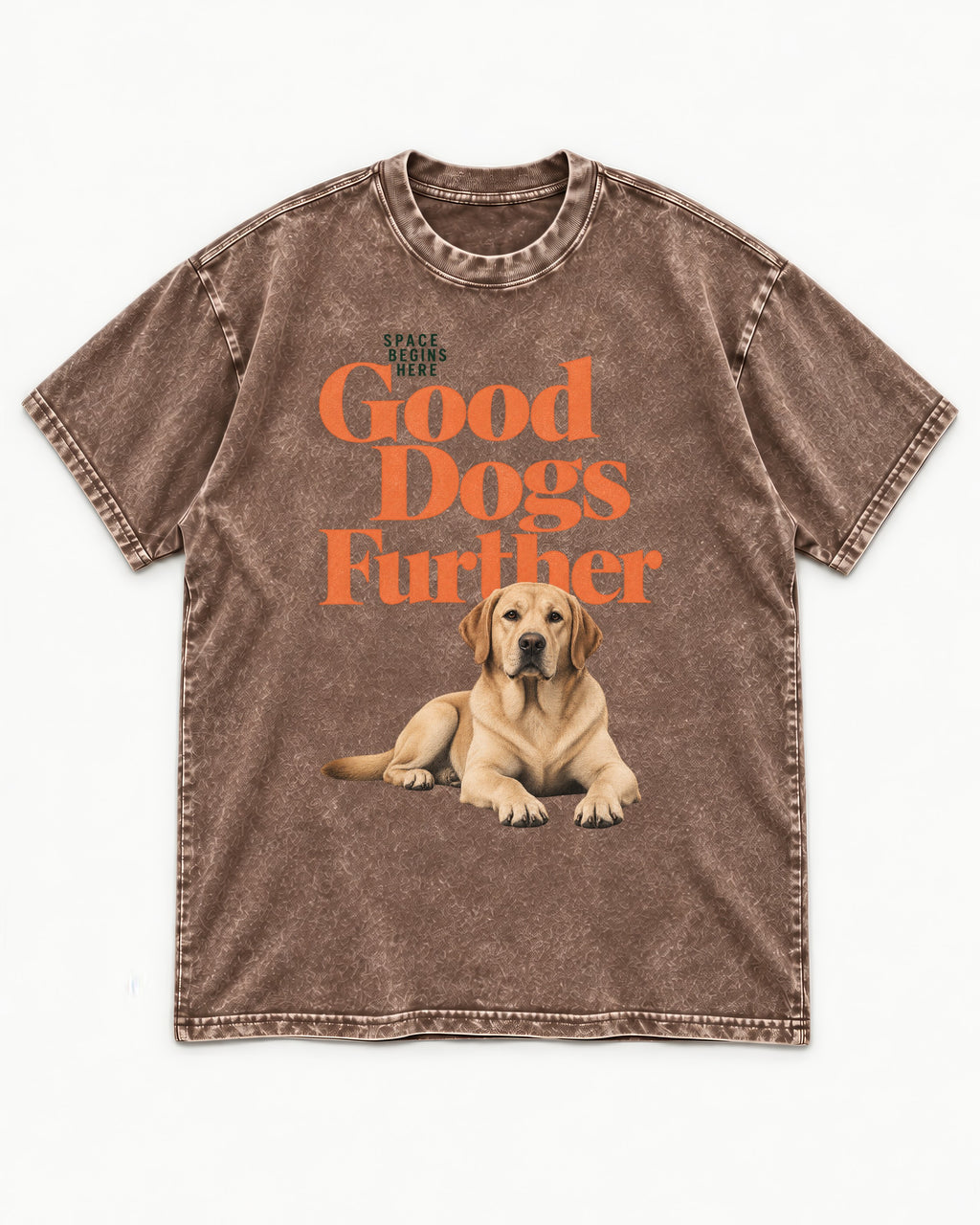 Good Labrador Retriever Goes Further Washed Tee in Coffee, flat lay product photo