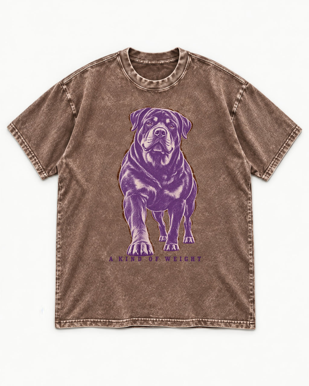 Rottweiler A Kind of Weight Washed Tee in Coffee, flat lay product photo