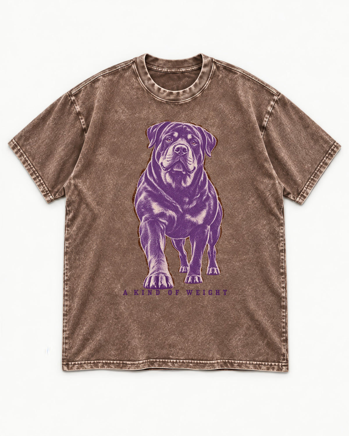 Rottweiler A Kind of Weight Washed Tee in Coffee, flat lay product photo