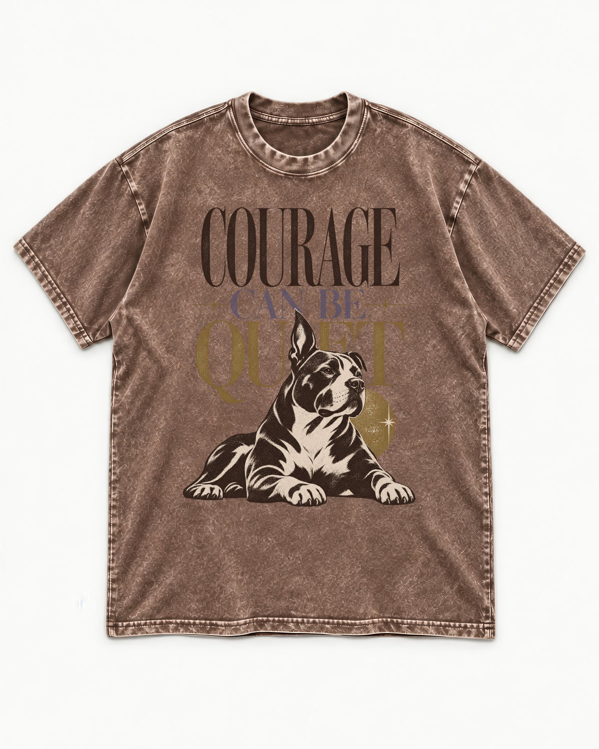 Pitbull Courage Can Be Quiet Washed Tee in Coffee, flat lay product photo