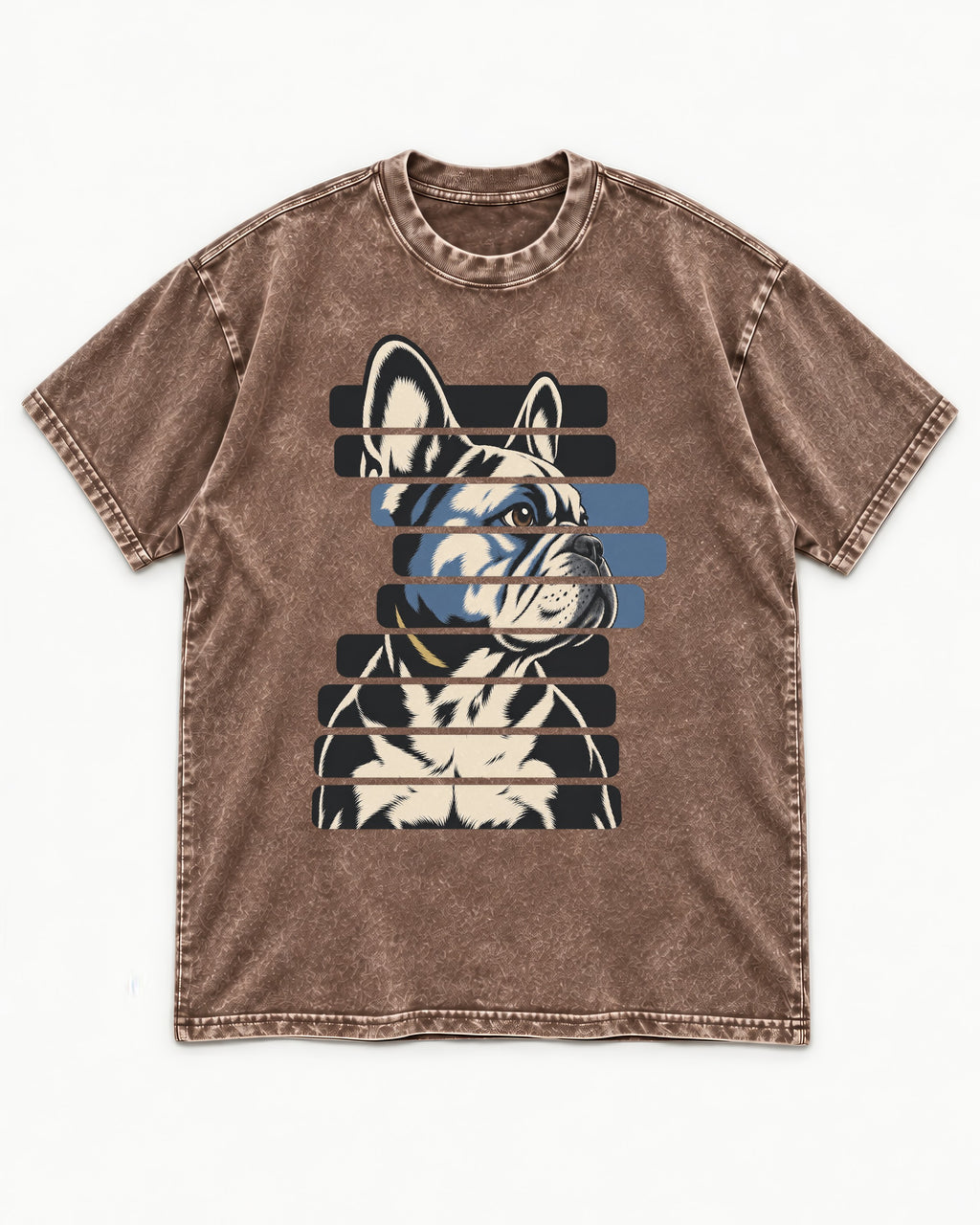 Frenchie Quiet Confidence Washed Tee in Coffee, flat lay product photo