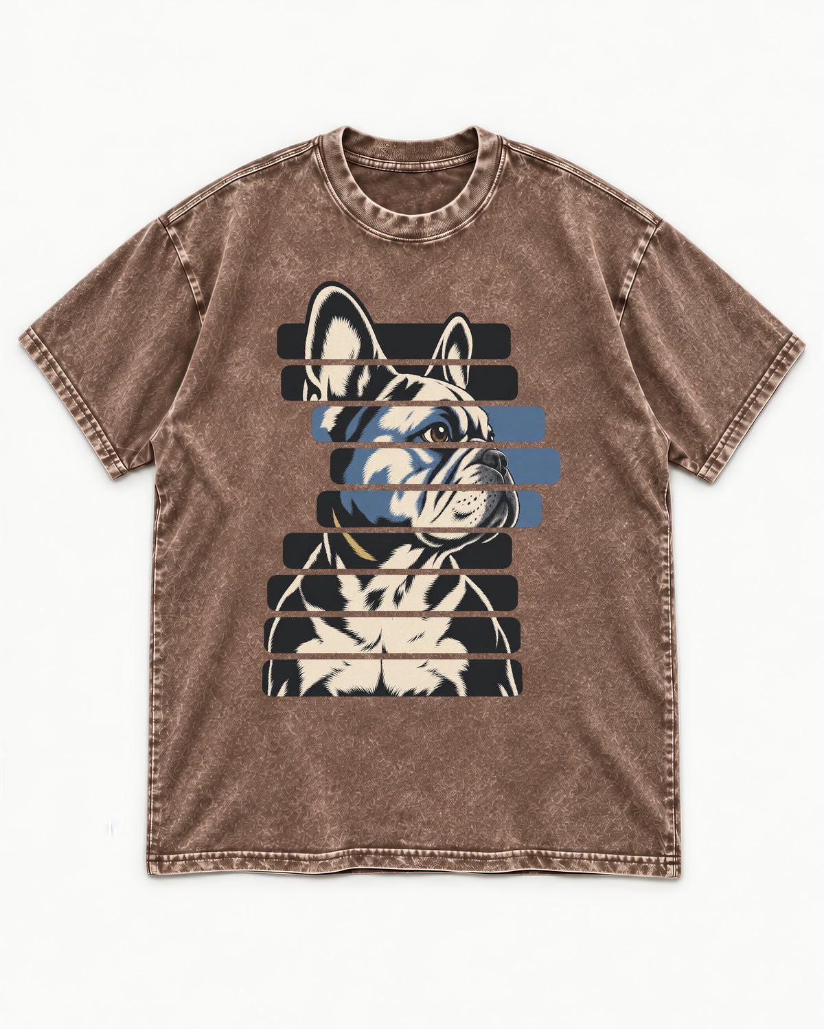 Frenchie Quiet Confidence Washed Tee in Coffee, flat lay product photo