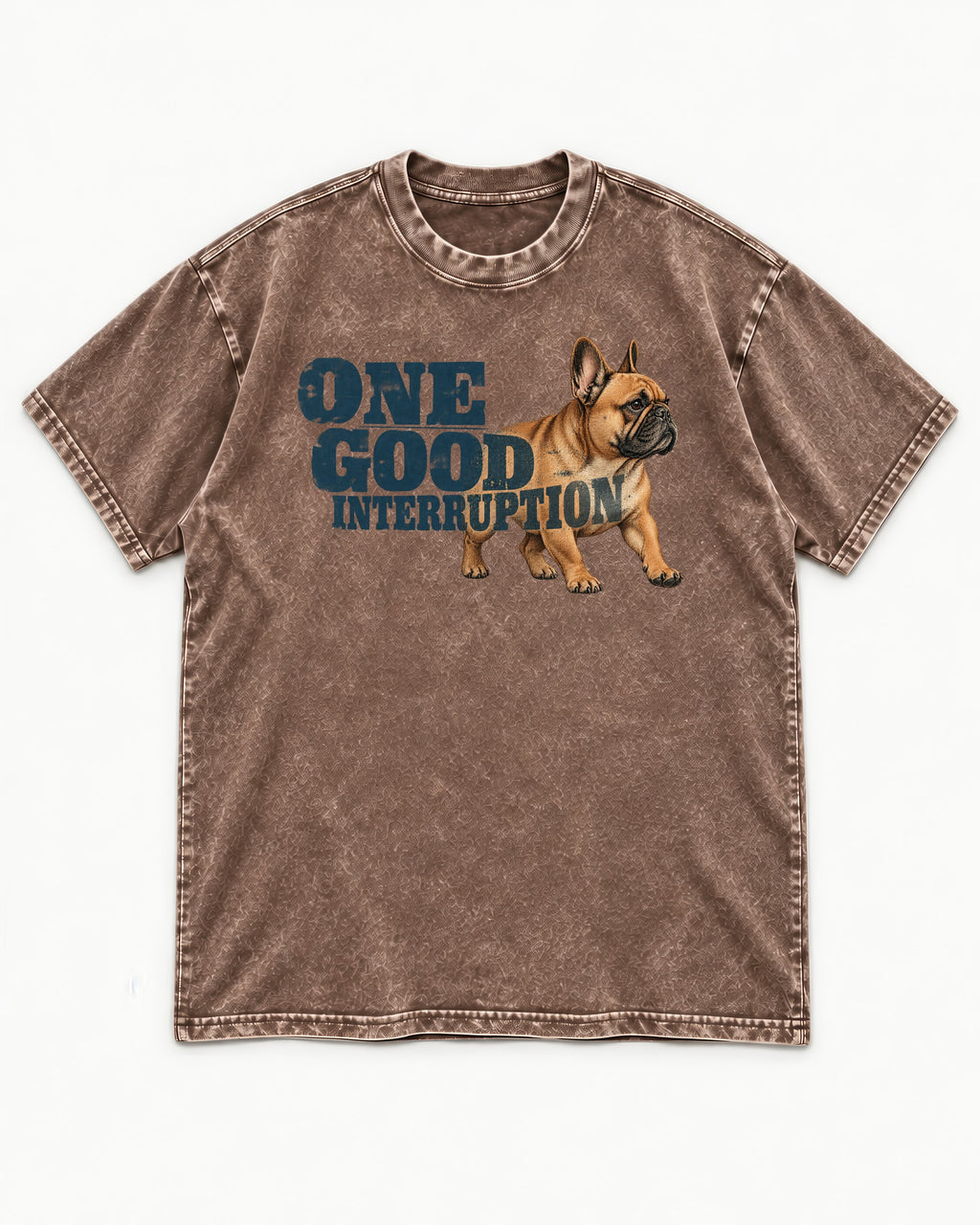 One Good Frenchie Interruption Washed Tee in Coffee, flat lay product photo