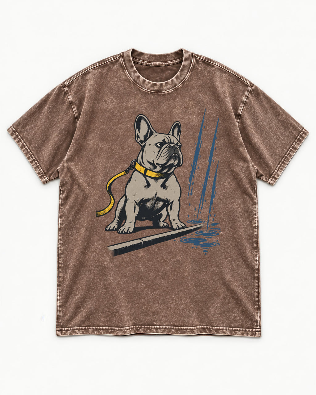 Frenchie Has Standards Washed Tee in Coffee, flat lay product photo