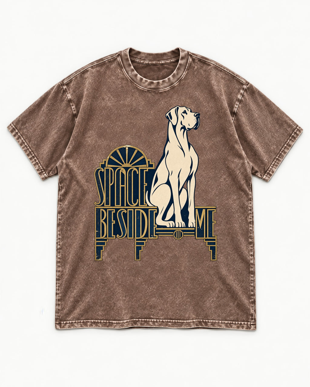 Great Dane's Space Beside Me Washed Tee in Coffee, flat lay product photo