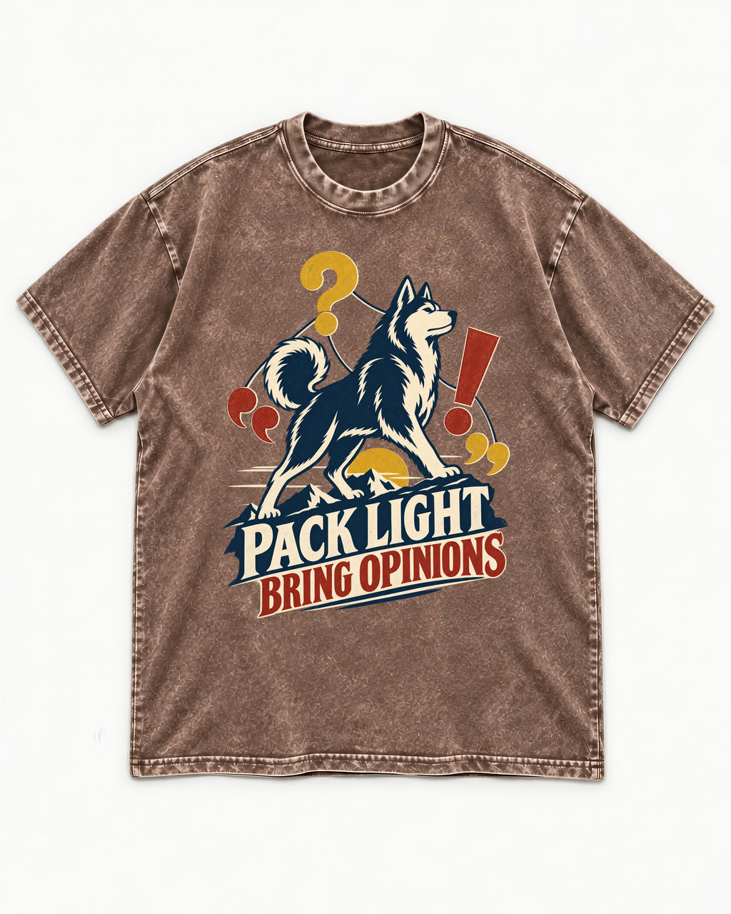 Husky Pack Light Bring Opinions Washed Tee in Coffee, flat lay product photo
