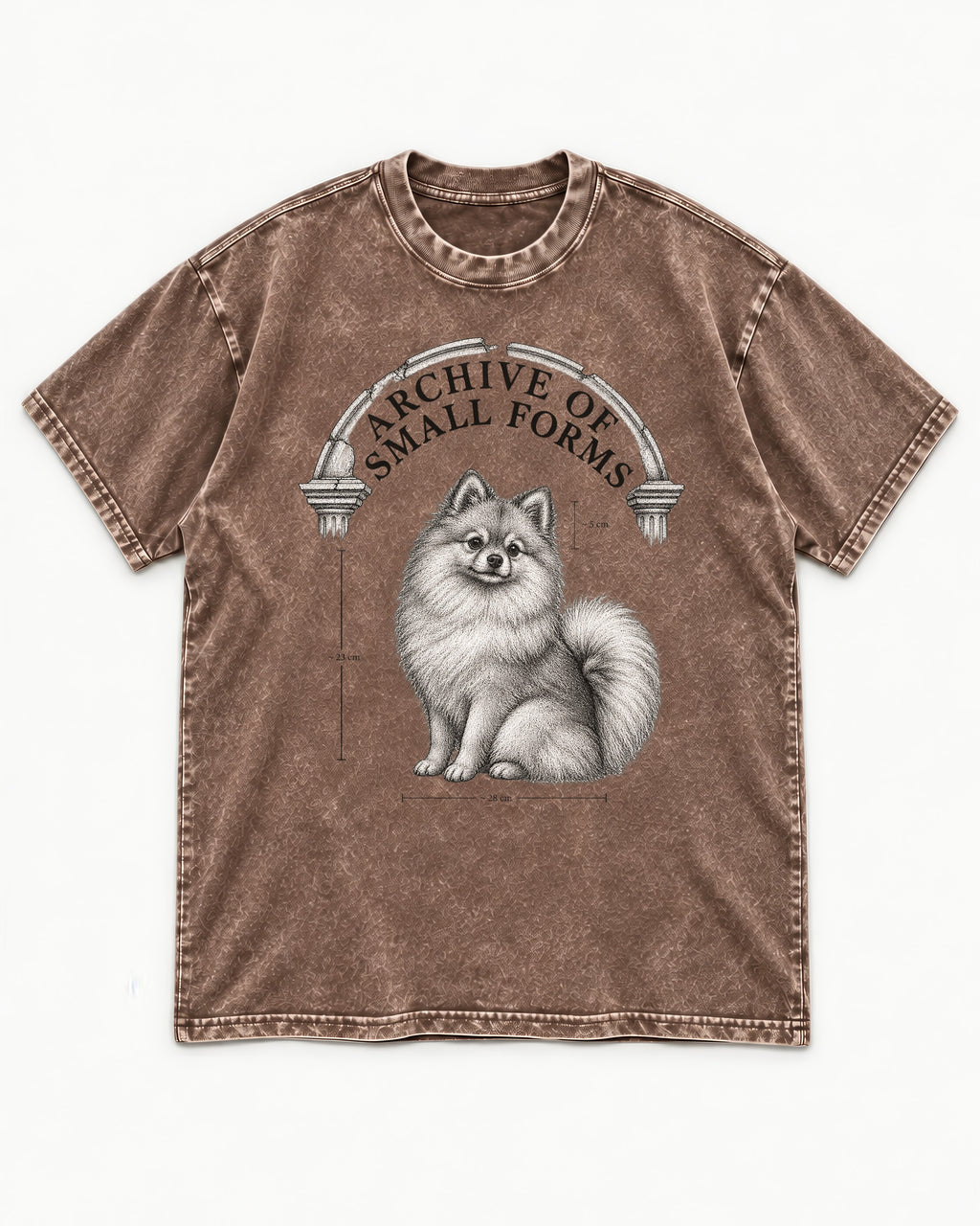 Pomeranian Archive of Small Forms Washed Tee in Coffee, flat lay product photo