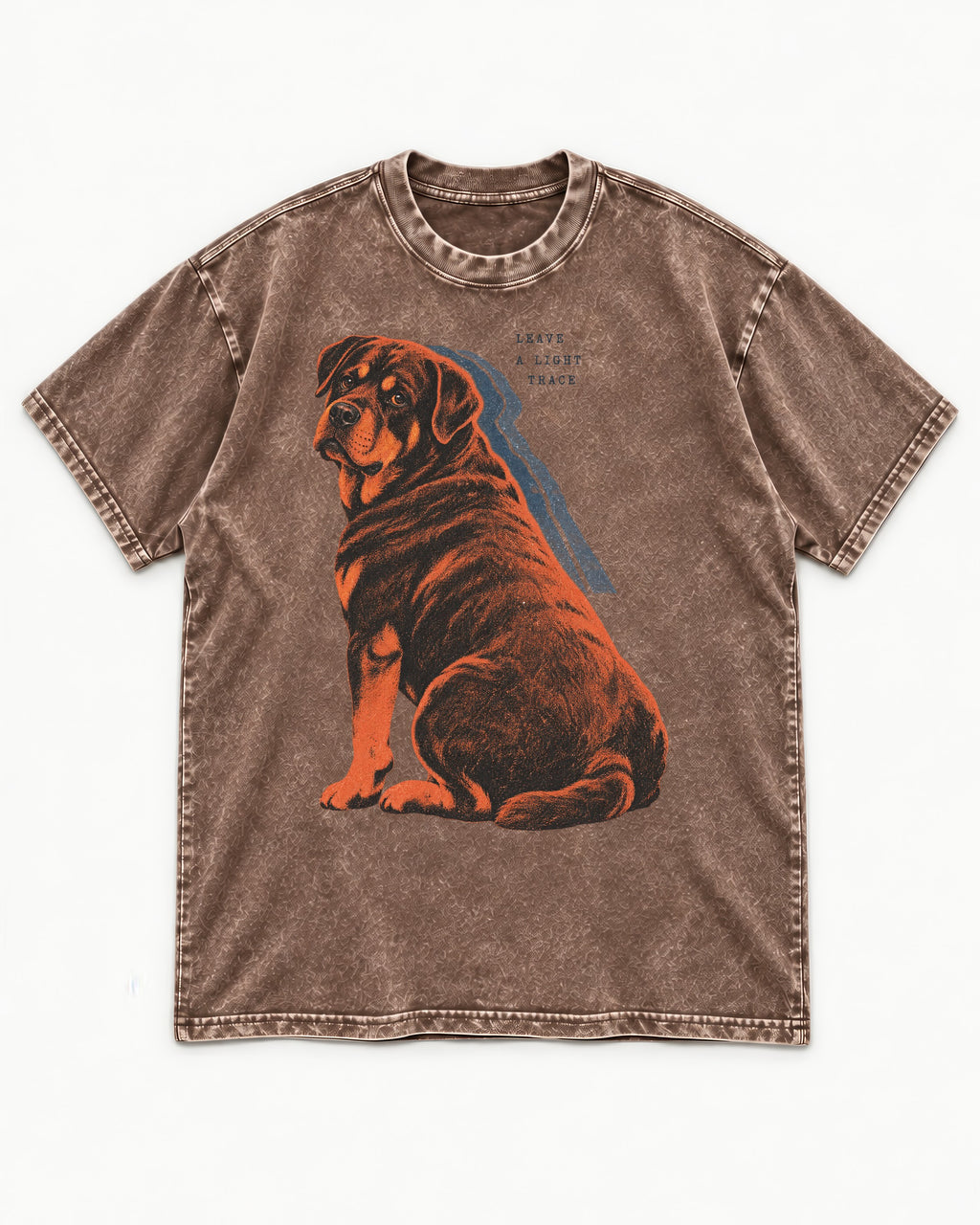 Rottweiler Leave a Light Trace Washed Tee in Coffee, flat lay product photo