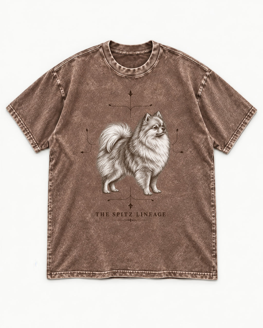 Pomeranian Spitz Lineage Washed Tee in Coffee, flat lay product photo