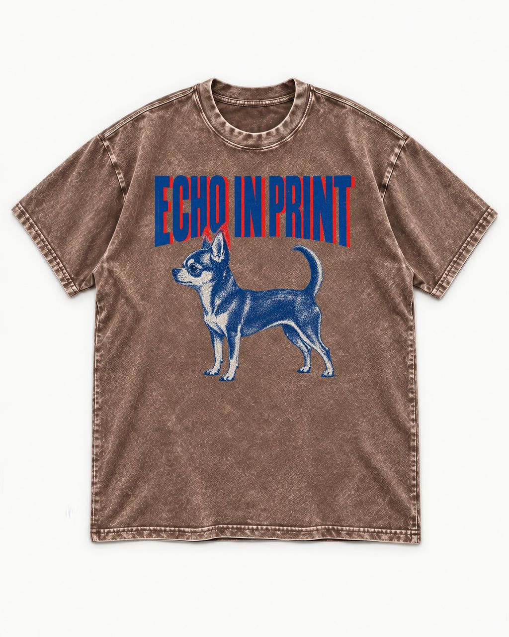 Chihuahua Echo Washed Tee in Coffee, flat lay product photo