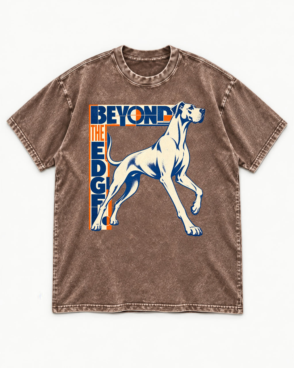 Great Dane Beyond the Edge Washed Tee in Coffee, flat lay product photo
