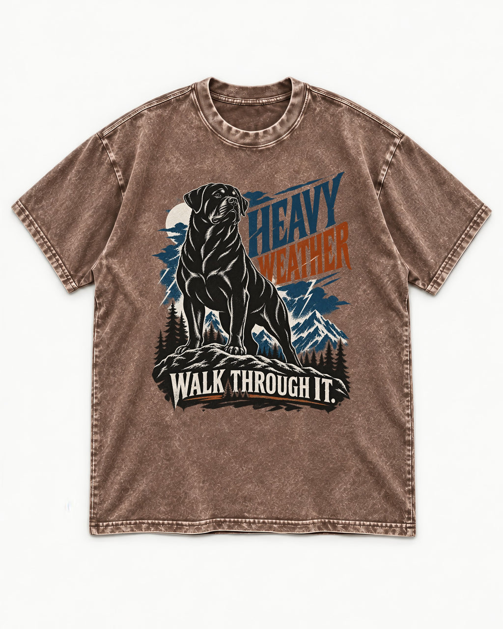 Heavy Weather Rottweiler Washed Tee in Coffee, flat lay product photo