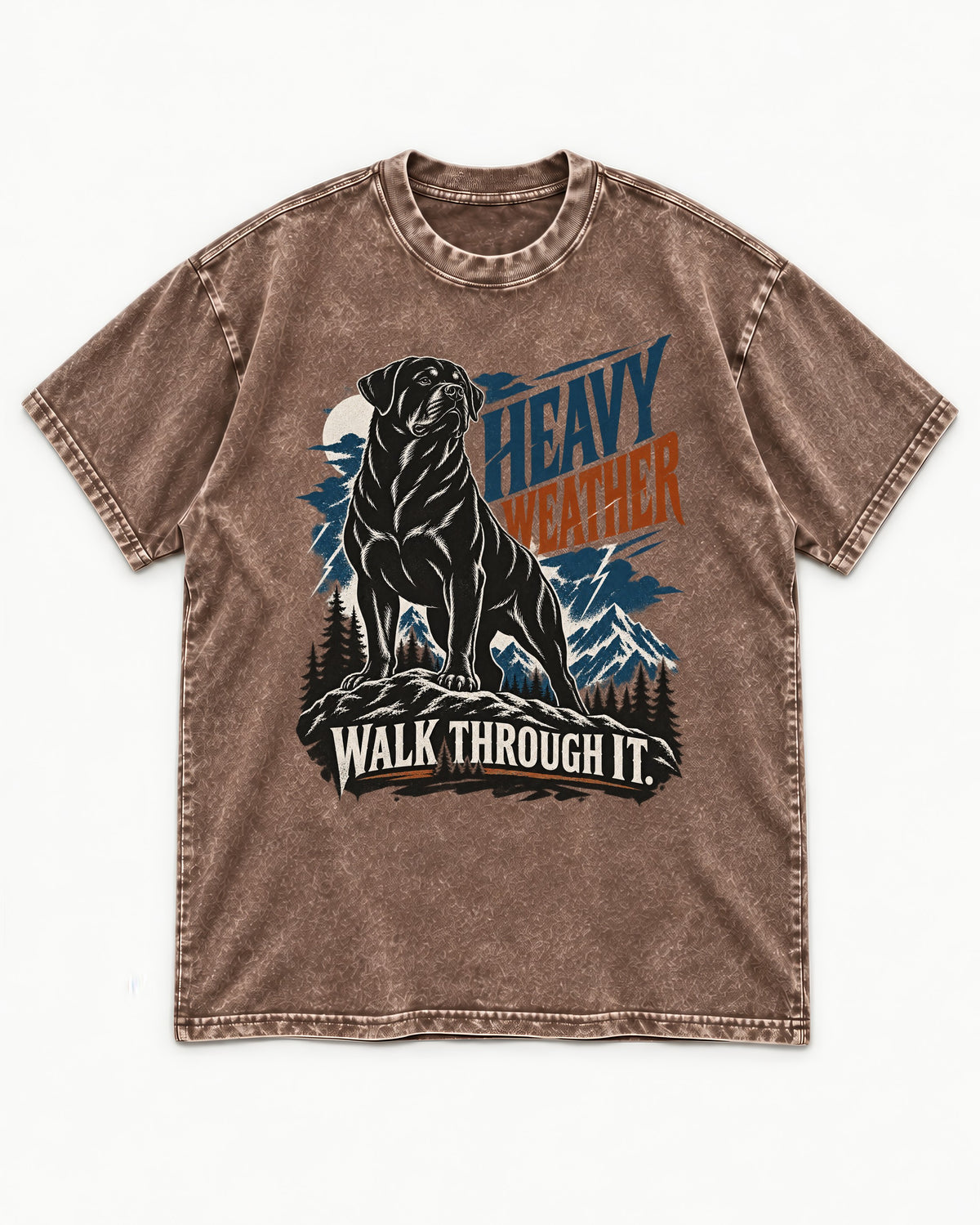 Heavy Weather Rottweiler Washed Tee in Coffee, flat lay product photo