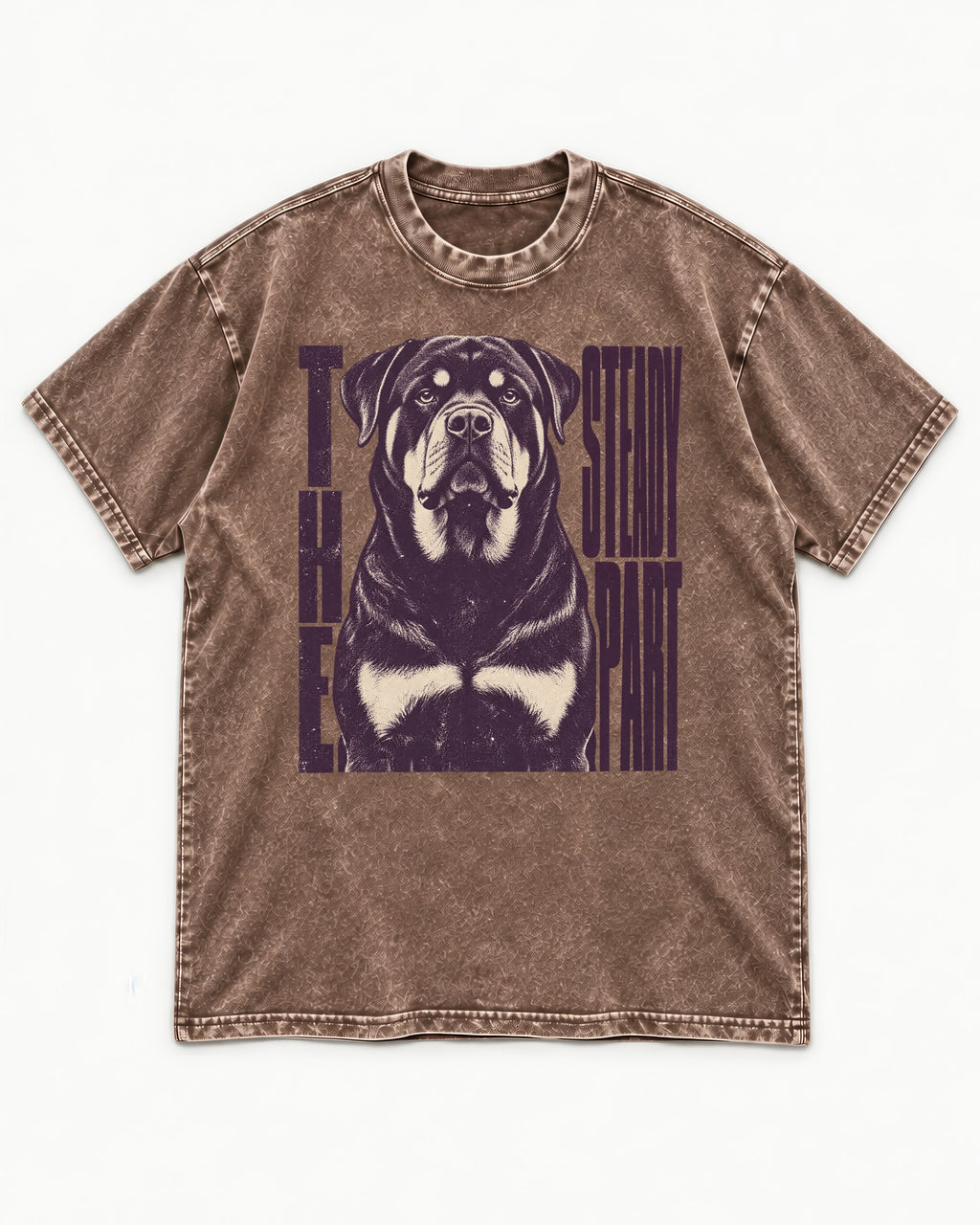 Rottweiler The Steady Part Washed Tee in Coffee, flat lay product photo