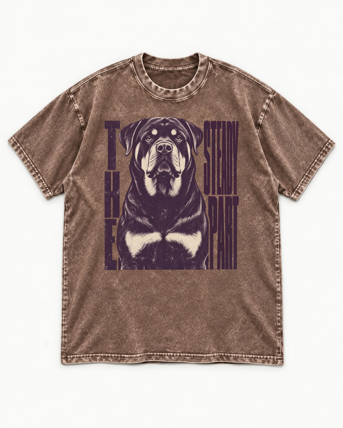 Rottweiler The Steady Part Washed Tee in Coffee, flat lay product photo