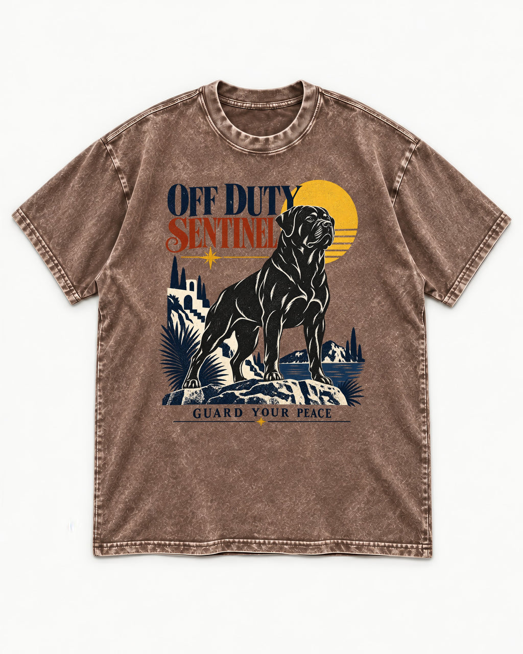 Off Duty Rottweiler Sentinel Washed Tee in Coffee, flat lay product photo