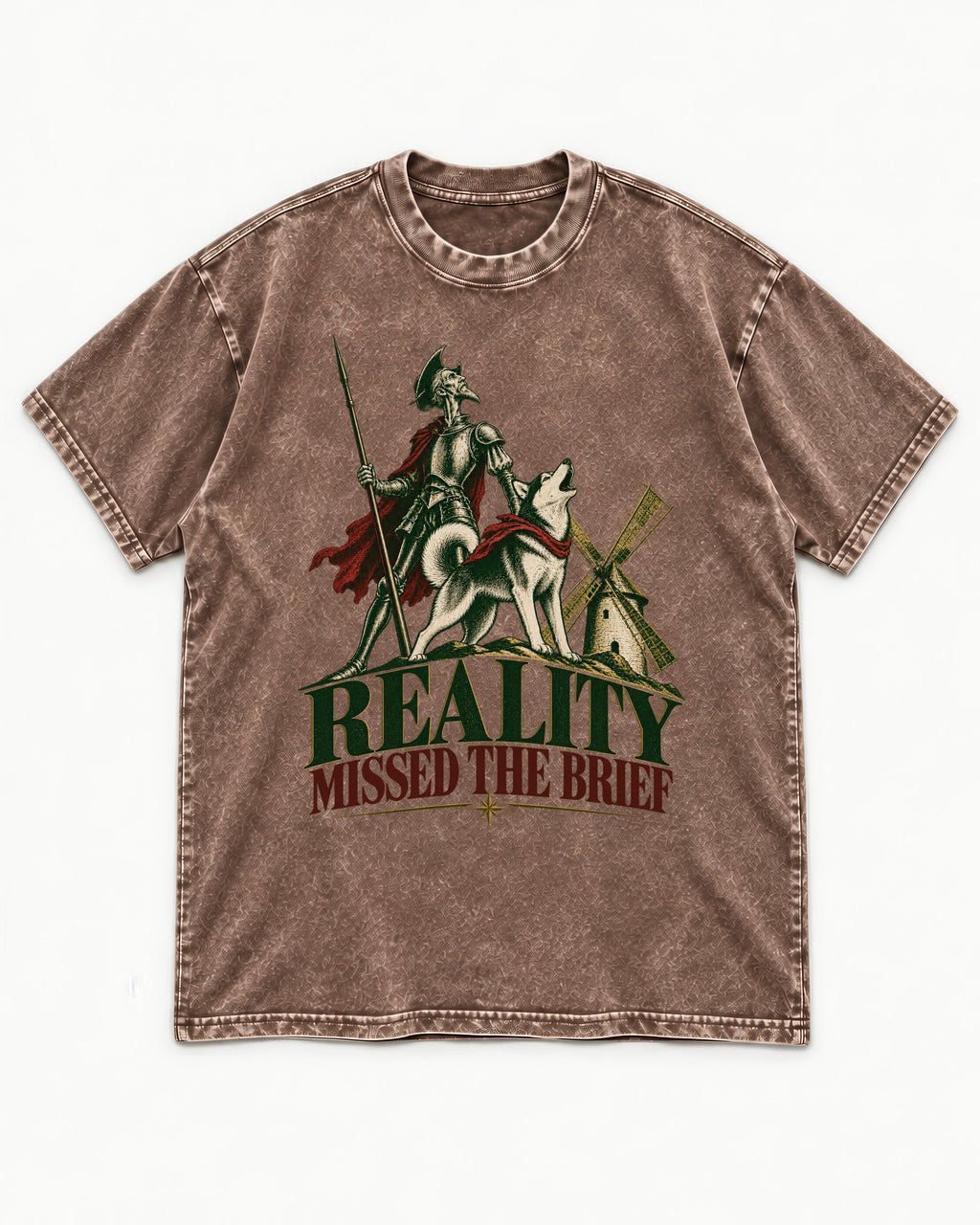 Reality Missed the Husky Brief Washed Tee in Coffee, flat lay product photo