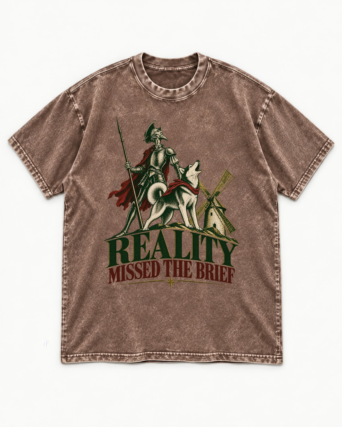 Reality Missed the Husky Brief Washed Tee in Coffee, flat lay product photo