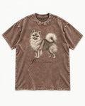 Pomeranian Petite Anatomie Washed Tee in Coffee, flat lay product photo
