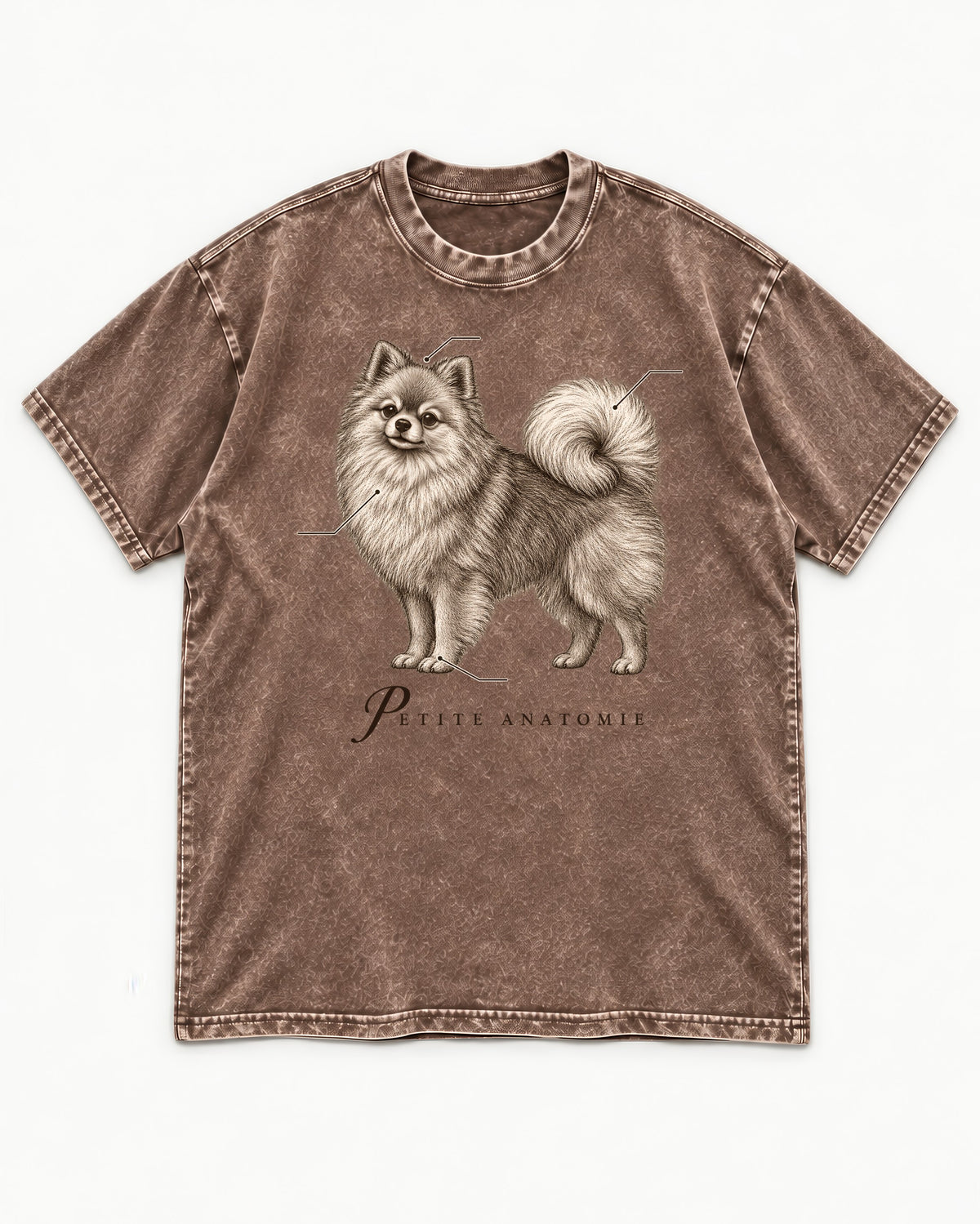 Pomeranian Petite Anatomie Washed Tee in Coffee, flat lay product photo