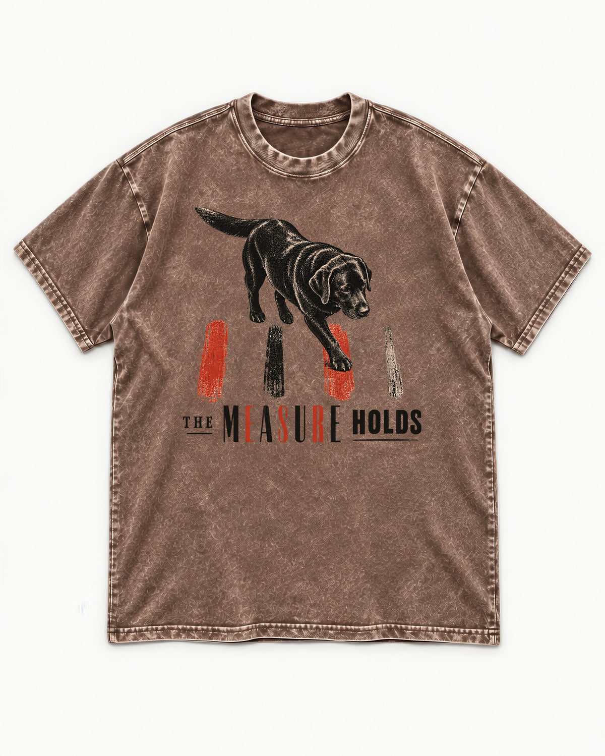 Labrador Retriever The Measure Holds Washed Tee in Coffee, flat lay product photo