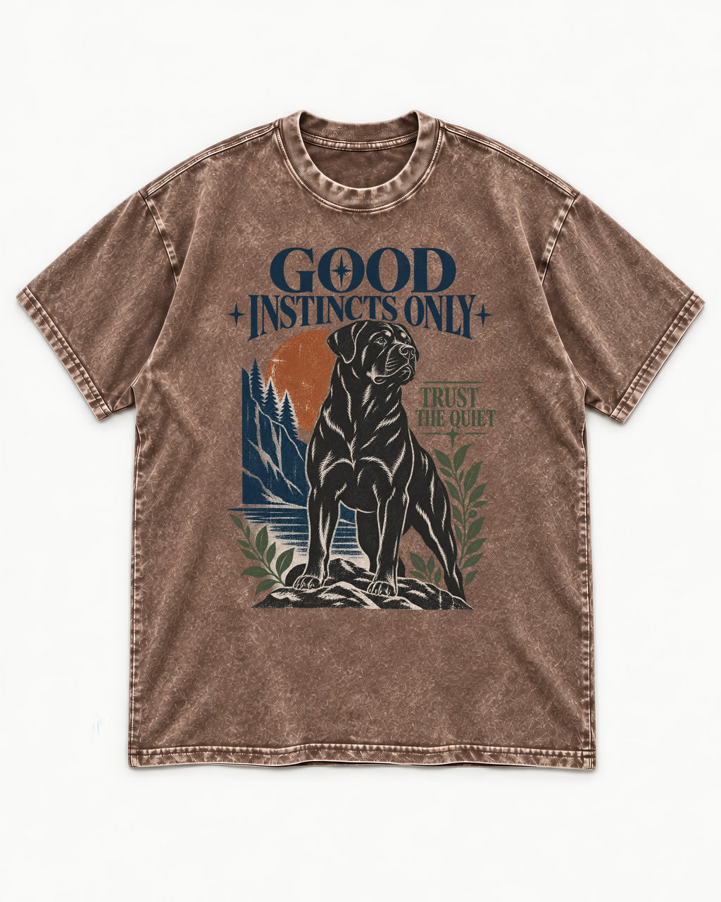 Good Instincts Only Rottweiler Washed Tee in Coffee, flat lay product photo